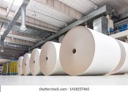 Duplex board and SBS for packaging